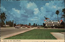 African Safari - Caribbean Gardens Postcard