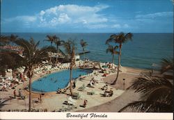 Tropical Southern Coast of Florida Postcard