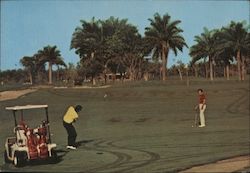 Cerromar Beach Hotel Postcard