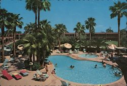 Safari Hotel Postcard