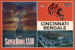 Cincinnati Bengals - Super Bowl XXII Champions Postcard