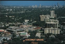 Coconut Grove Miami Postcard