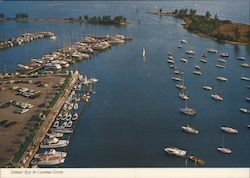 Dinner Key in Coconut Grove Postcard