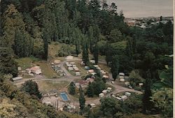 Dickson Park Motor Camp Thames, New Zealand Postcard Postcard Postcard