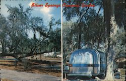 Silver Springs Campers Garden Postcard