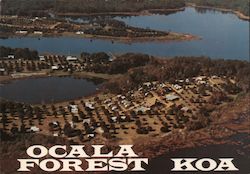 Kelley's Ocala Forest KOA Postcard