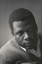 Sidney Potier, New York City, 1966 Postcard