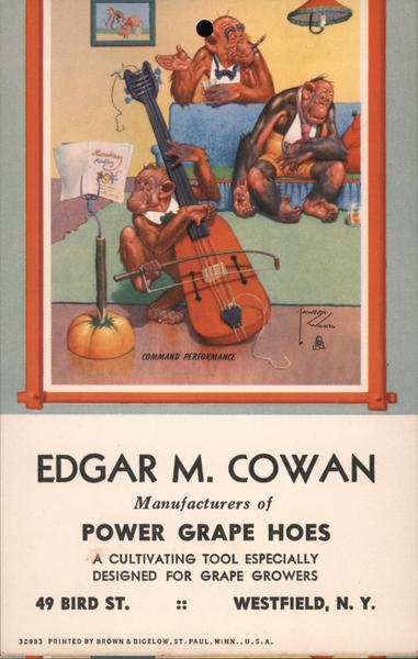 Command Performance -Monkey Playing the Cello, Lawson Wood