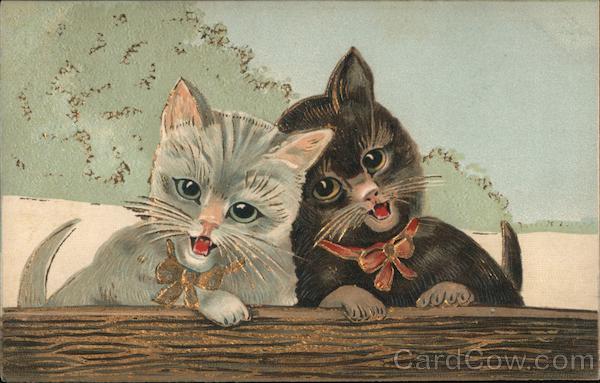 White and Black Cats Sit Together