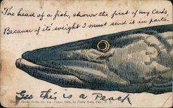 The head of a fish, shows the first of my cards. Because of it's weight I must send it in parts. Postcard