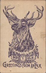 Greetings from an Elk - drawing of elk, banner with B.P.O.E. Postcard