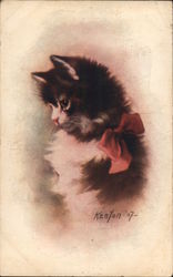 A picture of a black and white cat Postcard