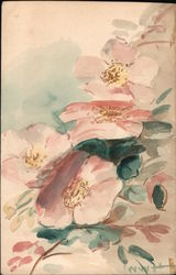 Pink flowers, Signed Postcard
