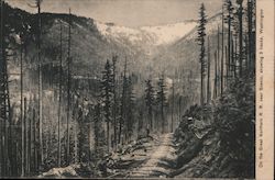 On the Great Northern R.R. near Scenic, showing 3 tracks, Washington Mountains, trees, trails Postcard