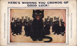 A Lot of Black Cats Postcard