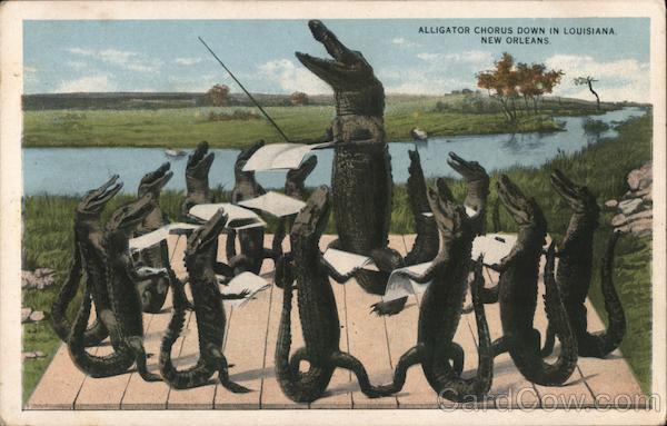 Alligator Chorus Down in Louisiana New Orleans