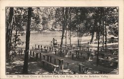 The Picnic Grove at Berkshire Park Postcard