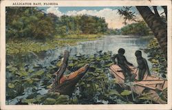 Alligator Bait Florida Postcard Postcard Postcard