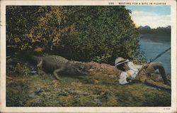 Waiting for a Bite in Florida Postcard