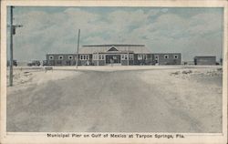 Municipal Pier on Gulf of Mexico Tarpon Springs, FL Postcard Postcard Postcard