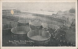 Bull Pens for Breaking Bad Horses Postcard