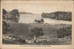 Tashmoo Lake Vineyard Haven, MA Postcard Postcard Postcard