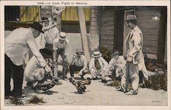 Stock #723901 Thumbnail