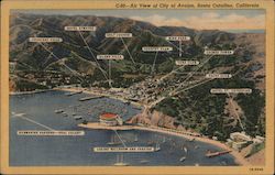 Air View of City of Avalon, Santa Catalina, California Postcard