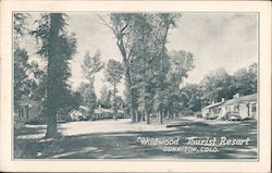 Wildwood Tourist Resort Postcard