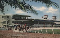 Horse Racing at Sunshine Park Postcard