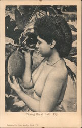 Picking Bread Fruit Postcard