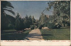 Photograph of an Athenian garden Postcard