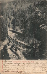 Transportarea lemnelor din Monti Postcard