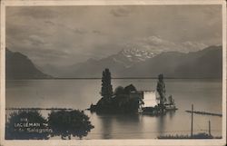 918 Lac Leman Ile de Salagnon Postcard