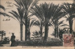 Un Saluto da S.Remo - Giardino dell Imperatrice Postcard