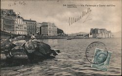 Via Partenope e Castel dell'Ovo Naples, Italy Postcard Postcard Postcard