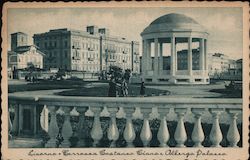 Livorno - Terrazza Castanea Cianae Alberga Palazza Postcard