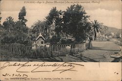 Municipal park in Madeira, Portugal Postcard