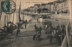 Le Marche aux Moules Postcard