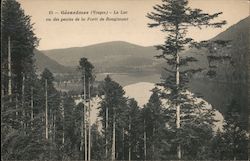 Le Lac Vu Des Pentes de la Foret de Rougimont Postcard
