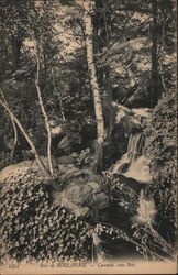 Bois de Boulogne - Cascade, sous Bois Postcard