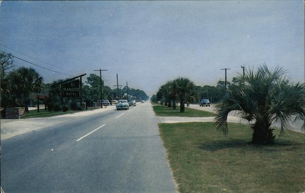 Palms Line the King's Highway in Myrtle Beach South Carolina