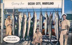 Home of the White Marlin Postcard