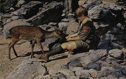Resica Falls Scout Reservation, 4200 Acres of Natural Wilderness Postcard