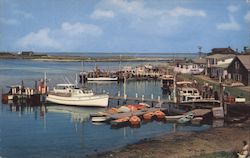 Harbor and Yacht Basin, Martha's Vineyard Island Postcard