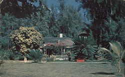 Stock #728588 Thumbnail