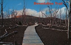 Devastation Trail Hawaii Volcanoes National Park, HI Postcard Postcard 
