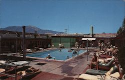 Tropical Palms Spa Motel Postcard