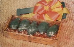 Pack "C" Avocadoes Bothwell Ranches Postcard