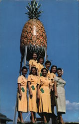 Dole Guides Beneath Pineapple Water Tower Postcard